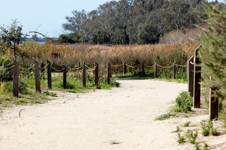 RedWeek Travel Guide: Hiking Trails in Carlsbad, CA | RedWeek