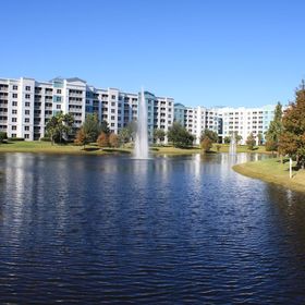 The Fountains