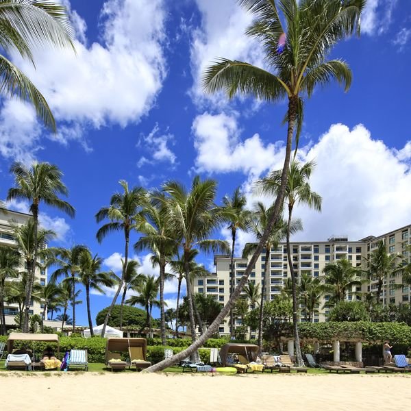 resort map - Picture of Hilton Hawaiian Village Waikiki Beach Resort, Oahu  - Tripadvisor