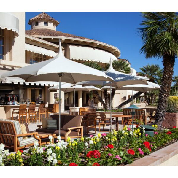 The Phoenician RedWeek